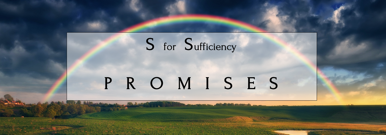 S for Sufficiency (PROMISES Acronym series)